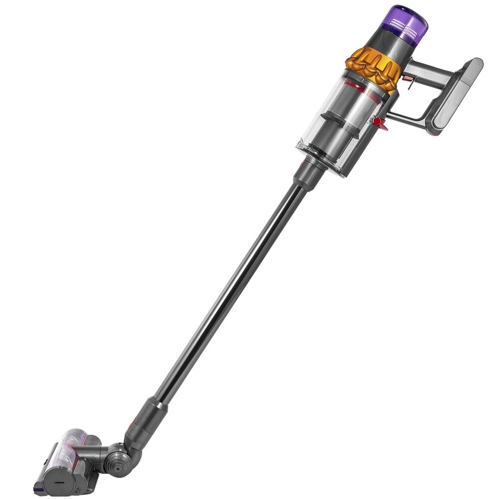 Dyson V15 Detect absolute (SV22)